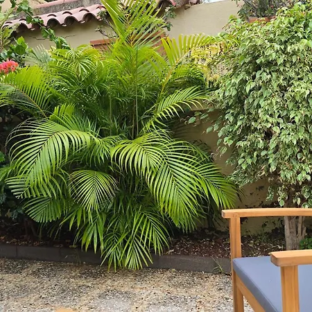 Nos Ciel Et A Tenerife Appartement